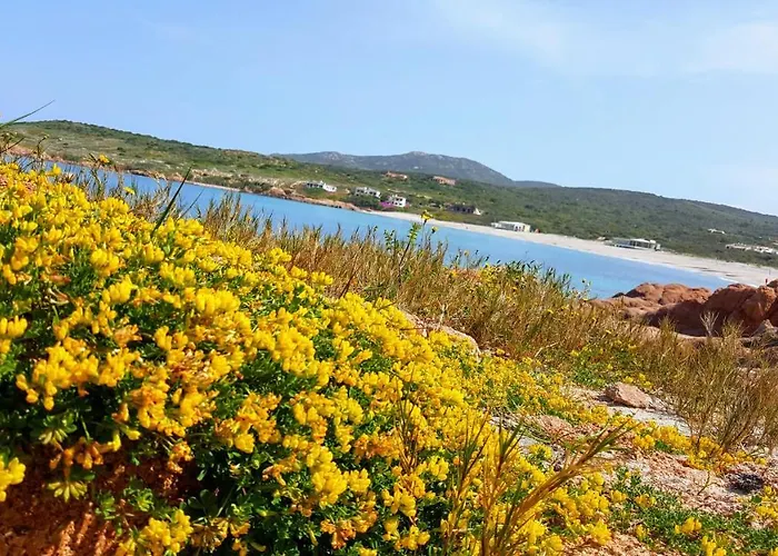 Casa Santorsola Tatil Evi Trinità dʼAgultu