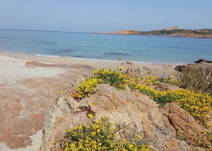 Casa Santorsola * Trinita d'Agultu e Vignola